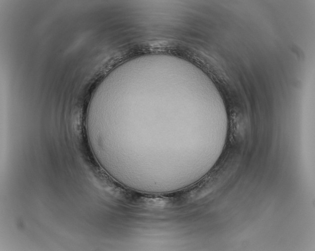 X0000111000698200907022137