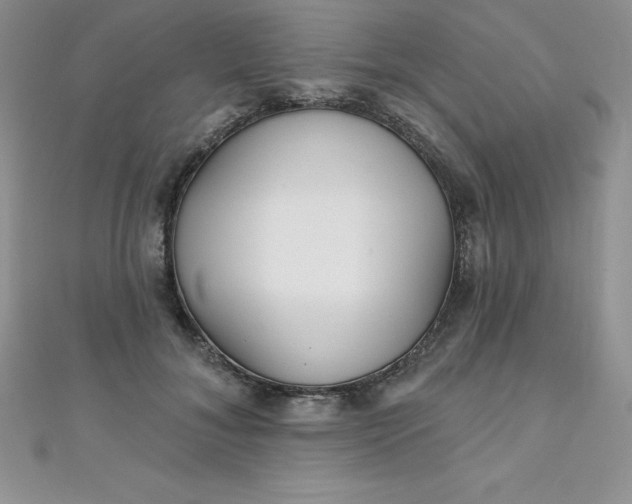 X0000111000700200907022137