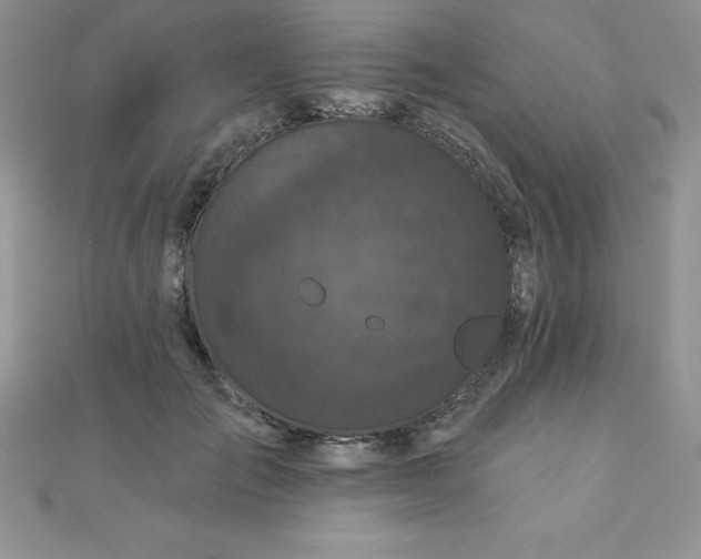 X0000111000701200907022137