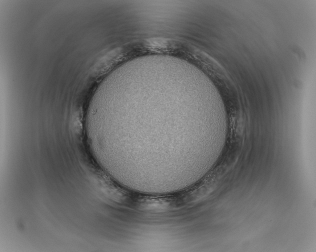 X0000111000702200907022137