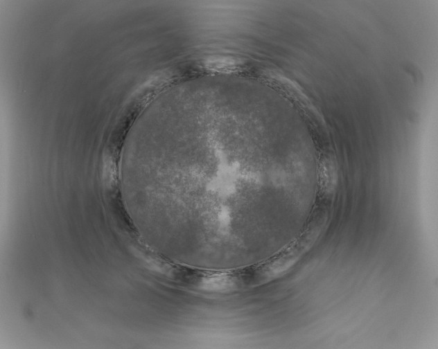 X0000111000705200907022137