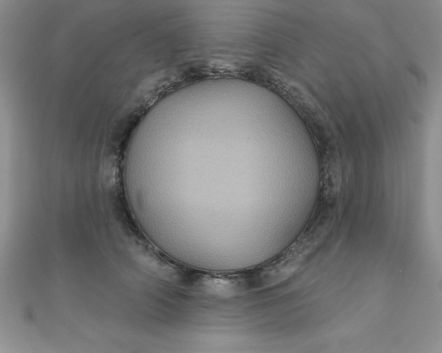 X0000111000706200907022137