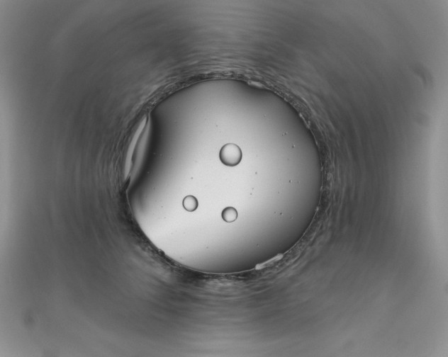 X0000111000708200907022137