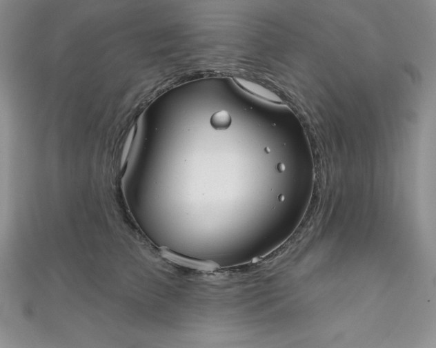 X0000111000709200907022137