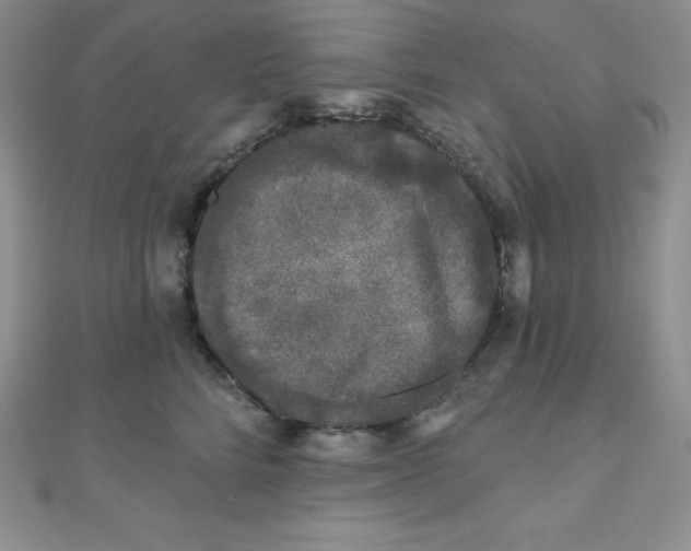 X0000111000712200907022137