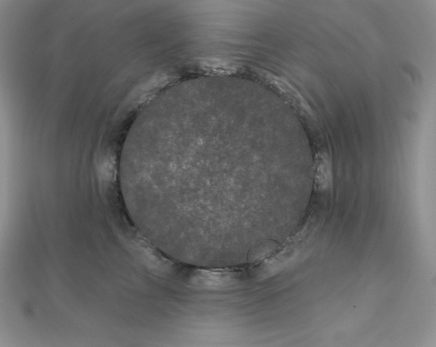 X0000111000713200907022137