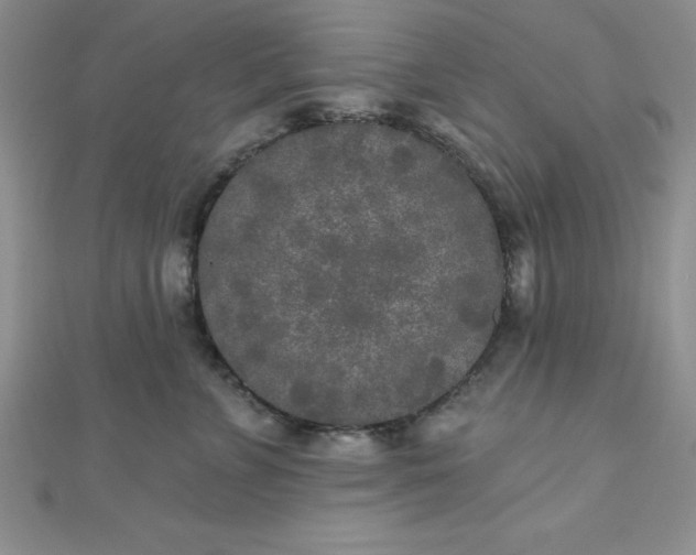 X0000111000715200907022137