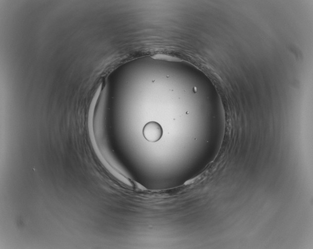 X0000111000716200907022137