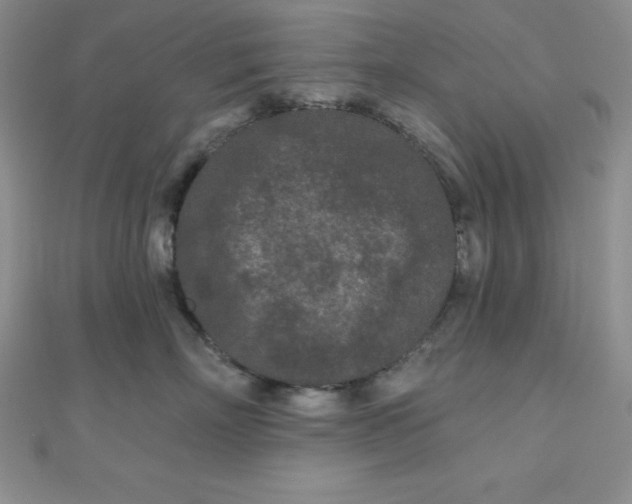 X0000111000718200907022137