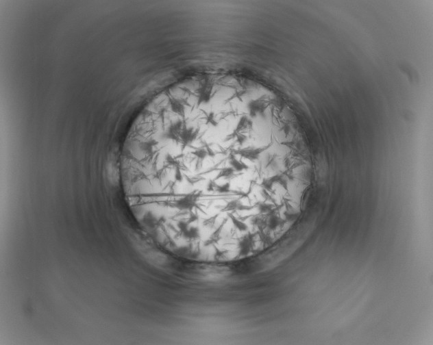 X0000111000719200907022137