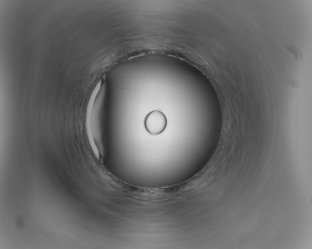 X0000111000720200907022137