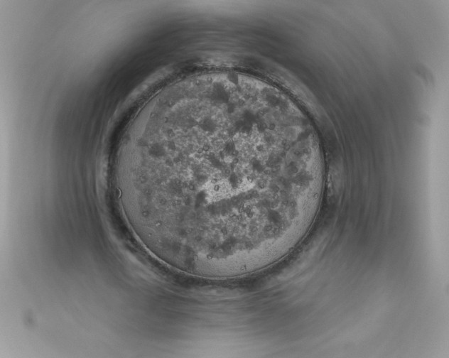 X0000111000722200907022136