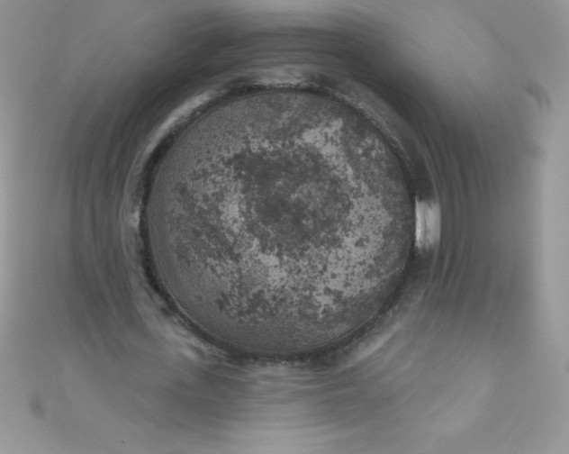 X0000111000723200907022136