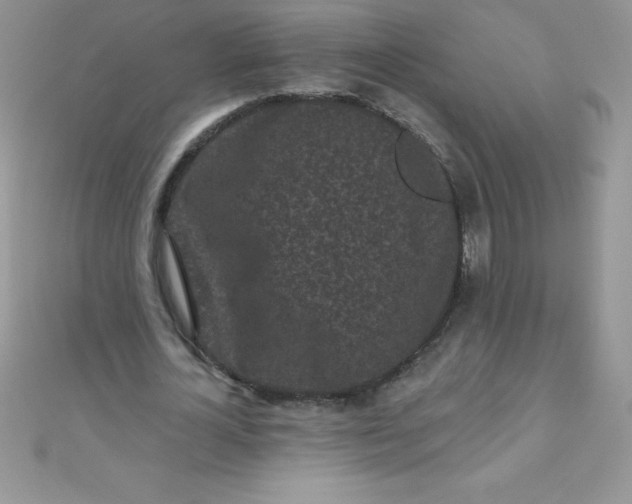 X0000111000724200907022136