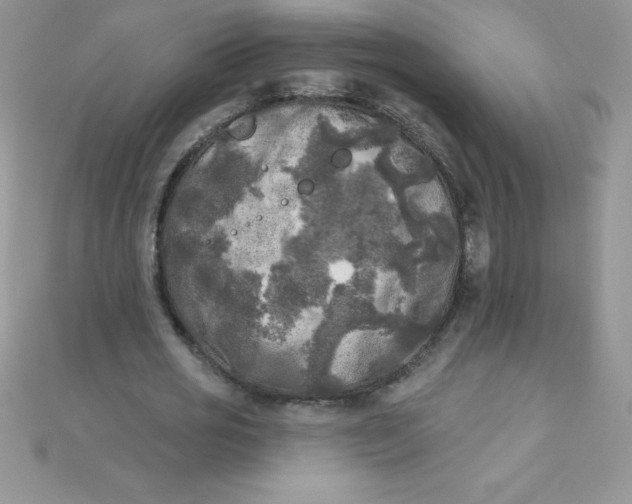 X0000111000725200907022136