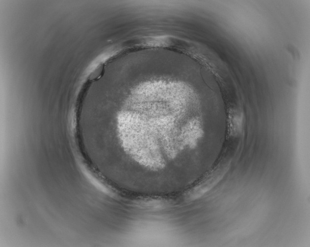 X0000111000726200907022136