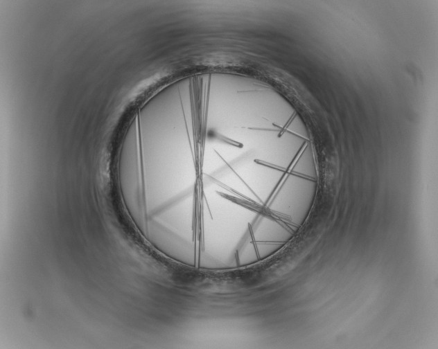 X0000111000727200907022136