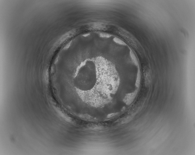 X0000111000729200907022136