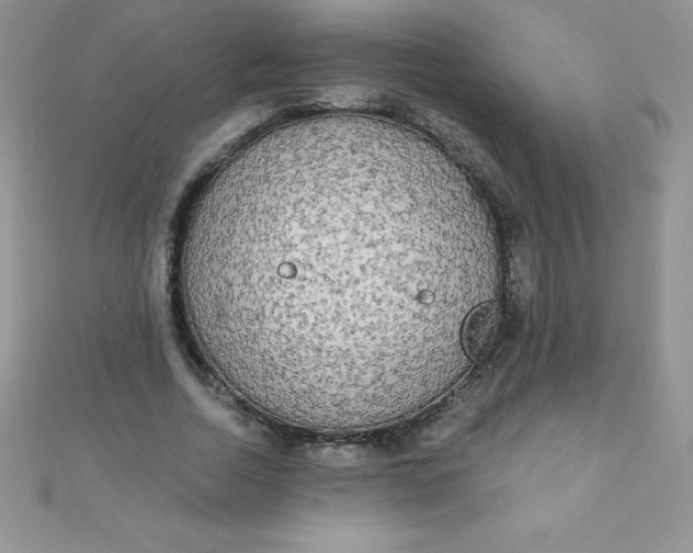 X0000111000730200907022136