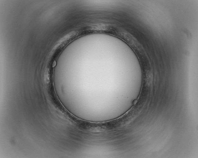 X0000111000731200907022136