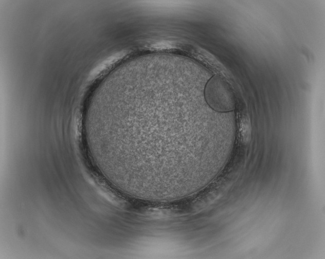 X0000111000732200907022136