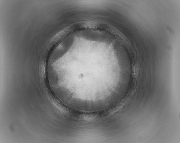 X0000111000733200907022136