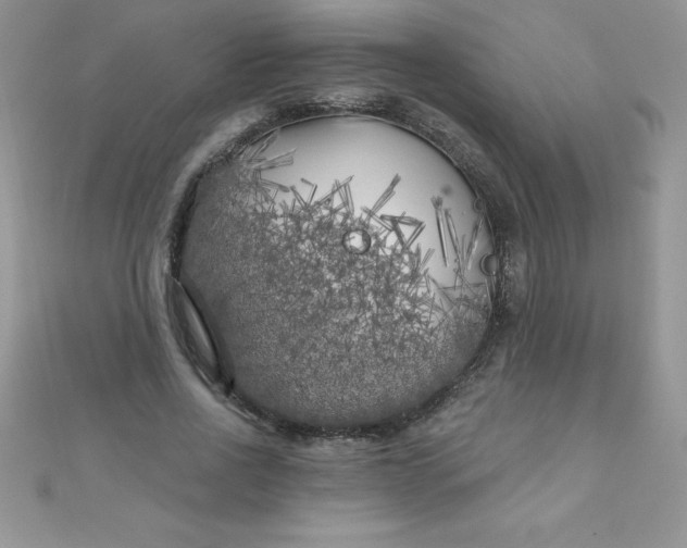 X0000111000734200907022136