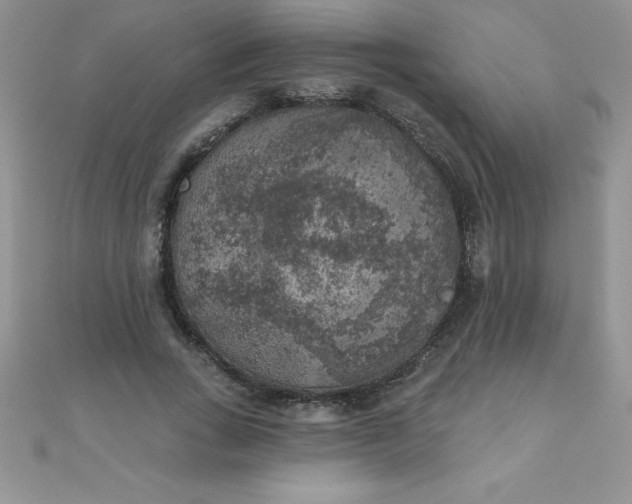 X0000111000735200907022136