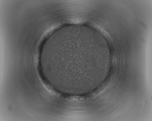 X0000111000736200907022136