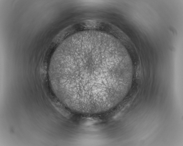 X0000111000737200907022136