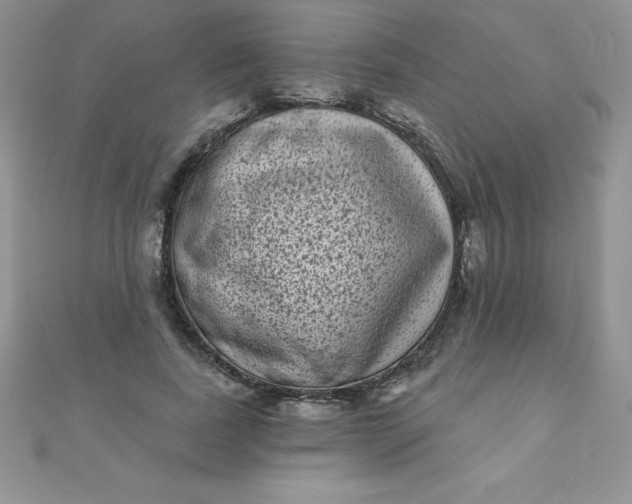 X0000111000739200907022136