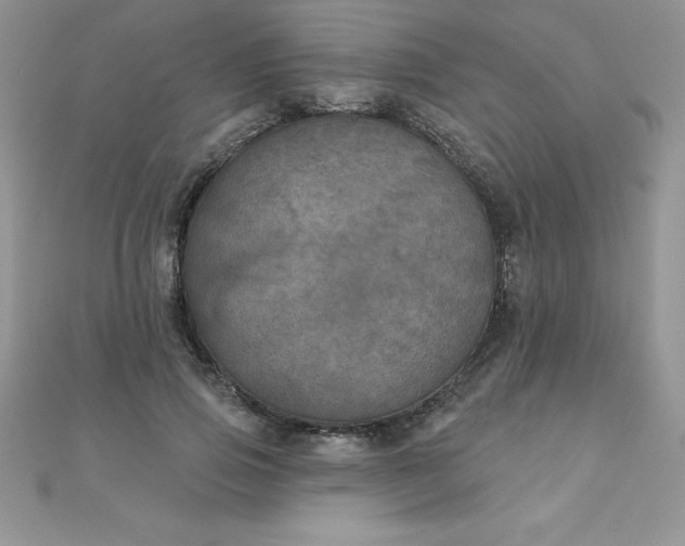 X0000111000741200907022136