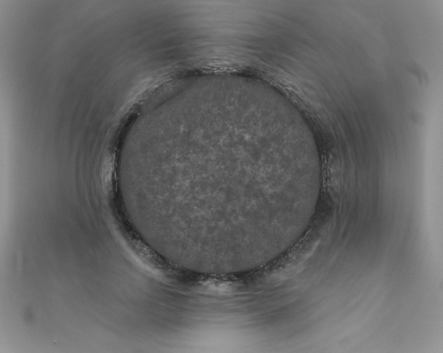 X0000111000742200907022136