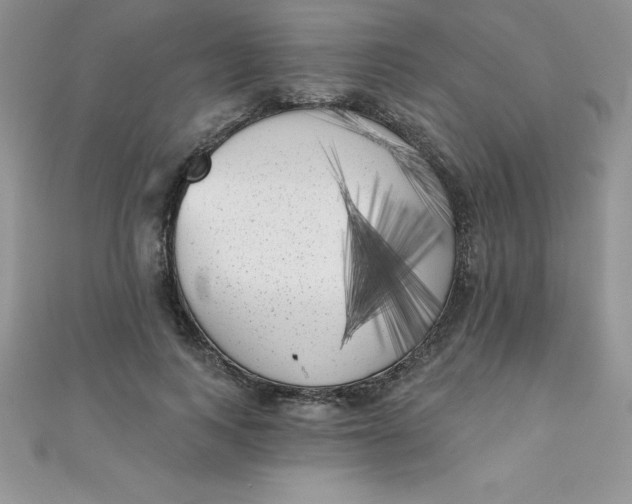 X0000111000743200907022136