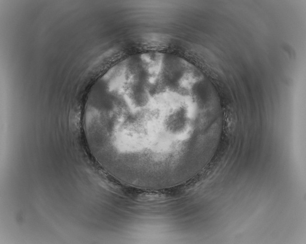 X0000111000745200907022136