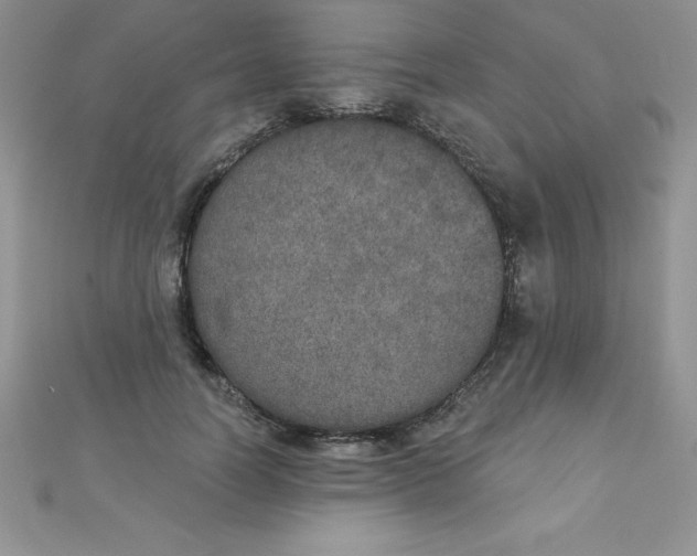 X0000111000746200907022136