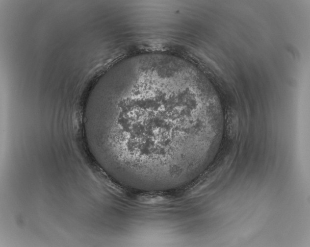 X0000111000747200907022136