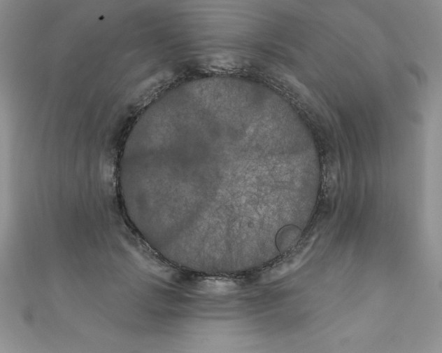 X0000111000749200907022136