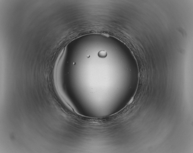 X0000111000750200907022136