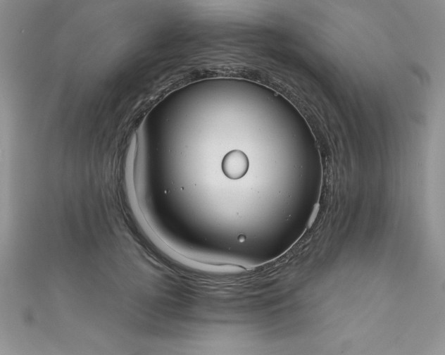 X0000111000752200907022136