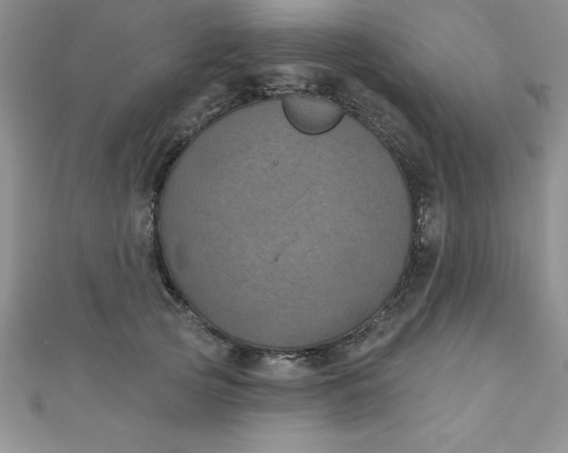 X0000111000753200907022136