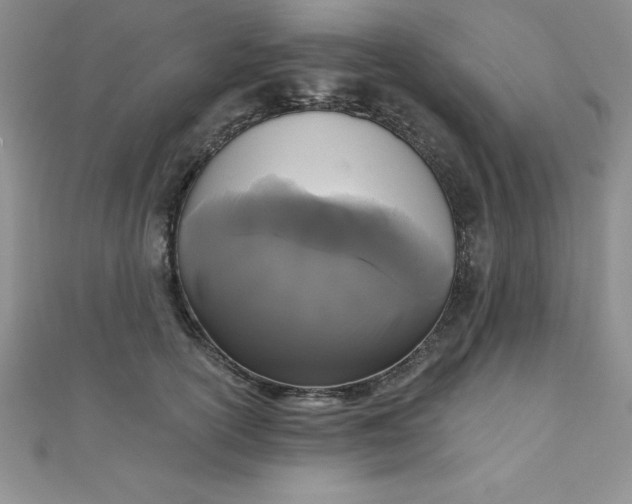 X0000111000754200907022136