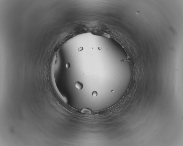 X0000111000756200907022136