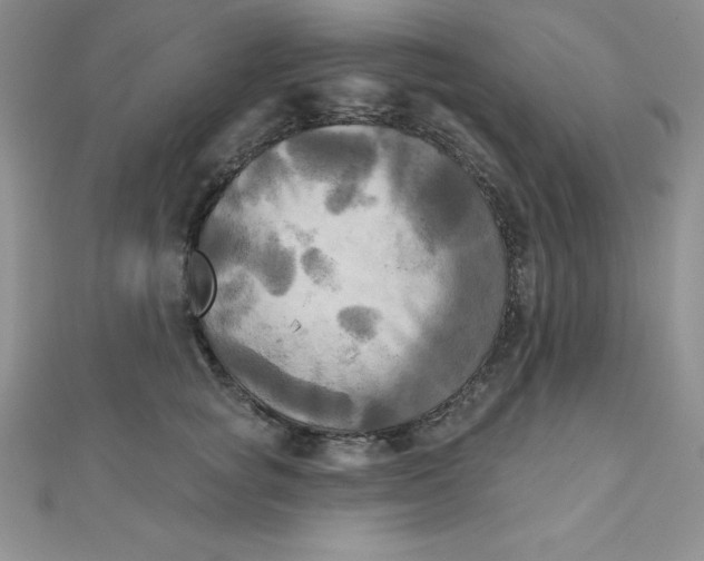 X0000111000757200907022136