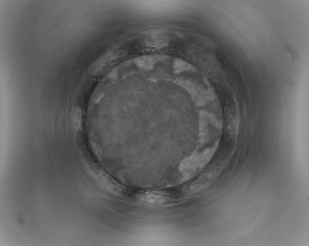 X0000111000758200907022136