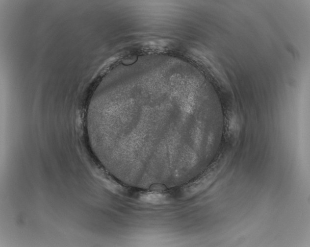 X0000111000759200907022137