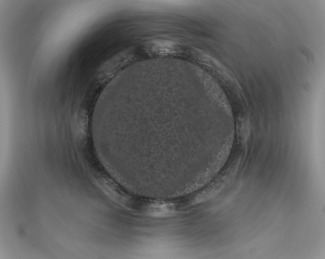 X0000111000760200907022137