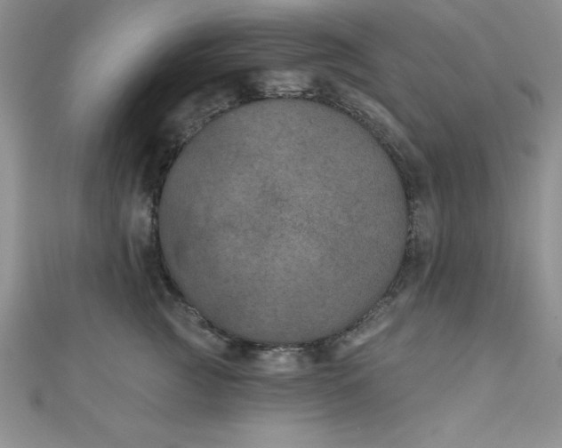 X0000111000761200907022137