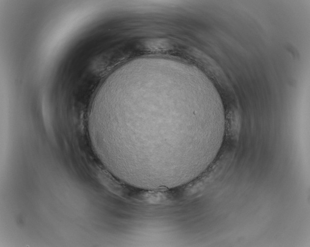 X0000111000762200907022137