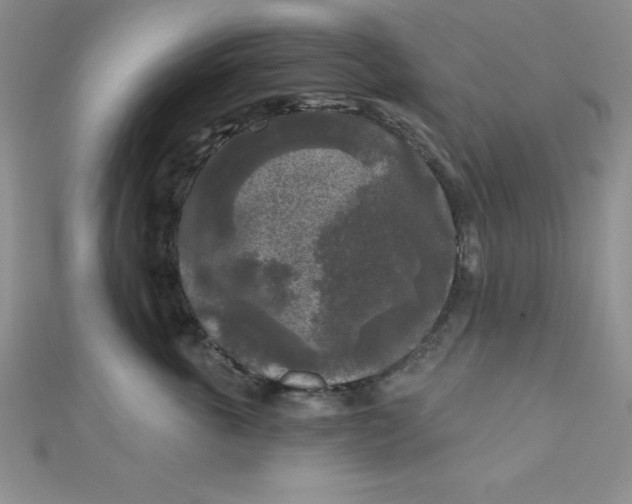 X0000111000763200907022137